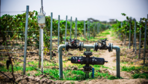 26.11.2021 Smarte Bewässerung: Ein Zukunftsmarkt mit gewaltigem Potenzial – Valmont Industries, Lindsay, Water Ways Technologies