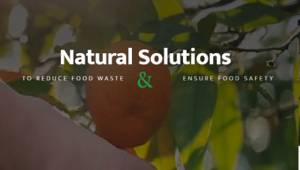 15.03.2022  Save Foods dehnt seine Reichweite auf Afrika aus und bekämpft Lebensmittelverschwendung mit dem lokalen Partner Auryon Holdings