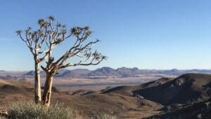 16.03.2022: Arcadia Minerals hat erste Ergebnisse der Bohrungen im Lithiumprojekt in Namibia erhalten