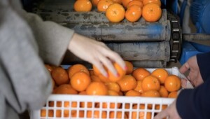 30.05.2022  Save Foods: Kampf gegen Lebensmittel-Verschwendung mit sanften Mitteln – in Einklang mit den Zielen der UN