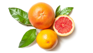 28.07.2022 Save Foods Prepares for Successful Citrus Season in Turkey