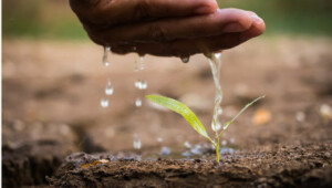 14.08.2022: Water Ways Technologies:  Sparsamer Umgang mit Wasser, Dünger und Pflanzenschutz in der Landwirtschaft – Wie smarte Technologien einen entscheidenden Beitrag leisten können
