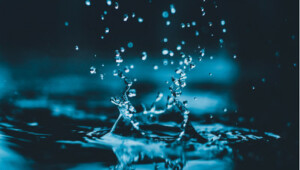 09.08.2022:  Water Ways Technologies: Spezialist für smarte Bewässerungstechnologie