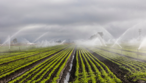 24.10.2022 Water Ways erhält zweiten Auftrag für das intelligente Bewässerungssystem Apple Grove in Kanada
