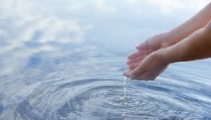 Düstere Prognose: Wasserverbrauch übersteigt bald Angebot – Ecolab, De.mem und Veolia wollen etwas dagegen tun