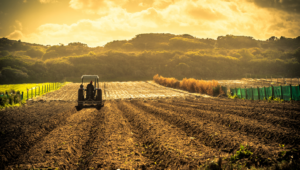 Deveron: Agrar-Technologie-Aktie mit reicher Ernte