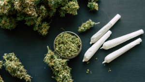 Cannabis-Sektor: TerrAscend glänzt mit fulminantem Wachstum