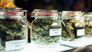 Cannabis: TerrAscend wächst doppelt so stark wie der Markt